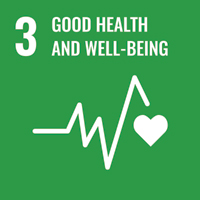 SDG logo