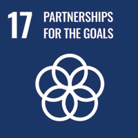 SDG logo