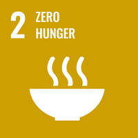 SDG logo
