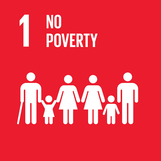 SDG logo