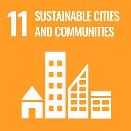 SDG logo