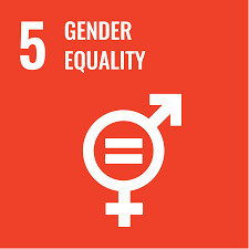 SDG logo