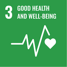 SDG logo